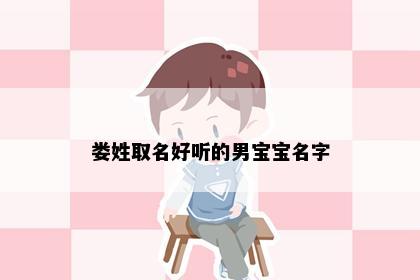 娄姓宝宝命名示例