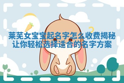 莱芜女宝宝起名字怎么收费揭秘让你轻松选择适合的名字方案