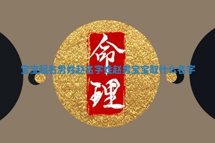 宝宝起名男姓赵名字_姓赵男宝宝取什么名字 宝宝起名男宝宝取什么名字