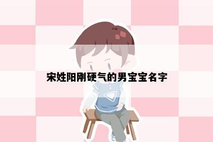 宋姓宝宝取名示意图