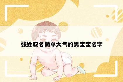 张姓男宝宝取名寓意图解