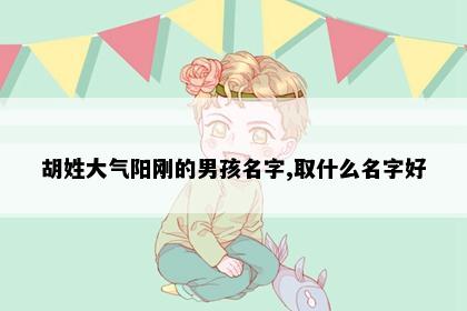 胡姓男孩名字意象图