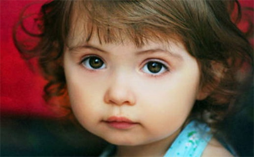 陆姓文雅气质的女宝宝名字