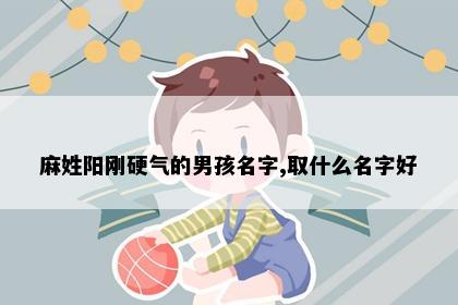 麻姓男孩名字意象图