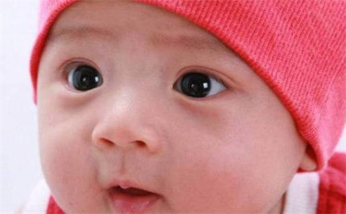 宝宝取名示意图