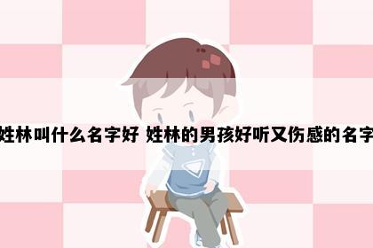 林姓宝宝起名意境图
