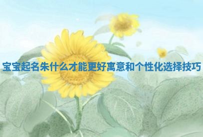 宝宝起名朱什么才能更好寓意和个性化选择技巧 宝宝起名朱什么才能更好寓意和个性化选择技巧