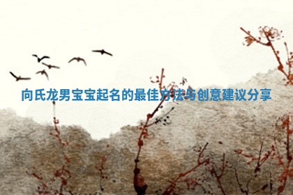 向氏龙宝宝起名寓意