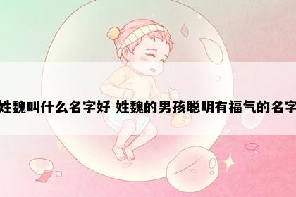 魏姓男孩名字寓意解析