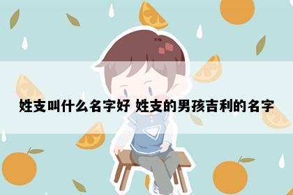 支姓男孩名字意象图