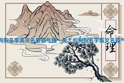 狗狗名字英文名男霸气 独一无二的狗狗名字英文名霸气 狗狗名字英文名男霸气 独一无二的狗狗名字英文名霸气