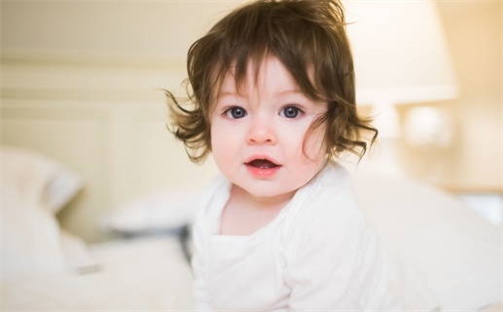 贺姓好听顺口的男宝宝名字